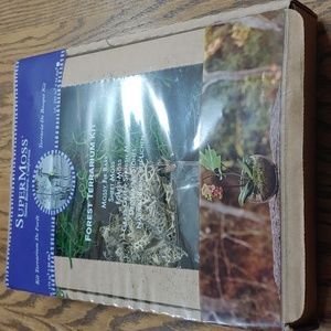 Forest Terrarium Kit